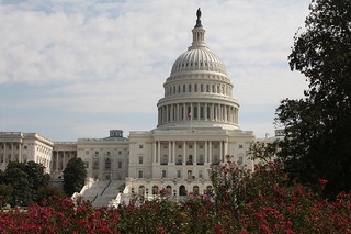 6198273831_29a1240797_n.jpg